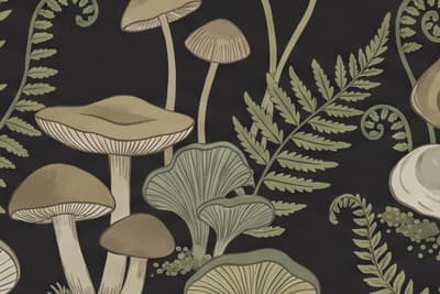Sottobosco di Ebano©, dettaglio, categoria Bestseller